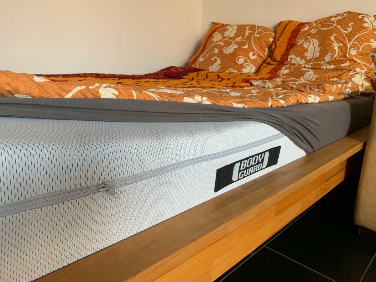 Ferienwohnung Mainz Eksteriør billede
